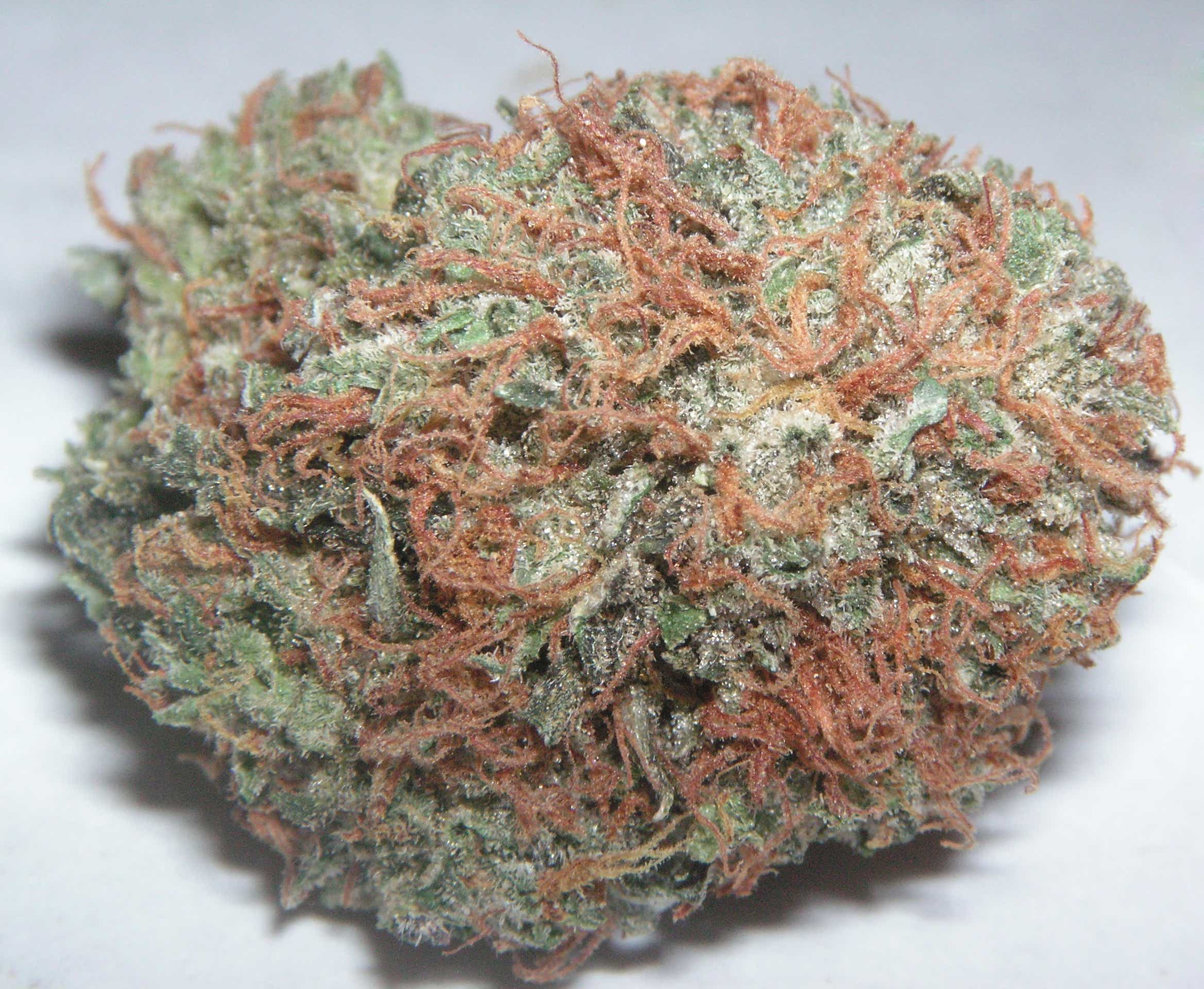 File:24 grams of cannabis buds and digital scale.jpg - Wikimedia