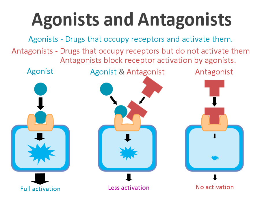 antagonist examples