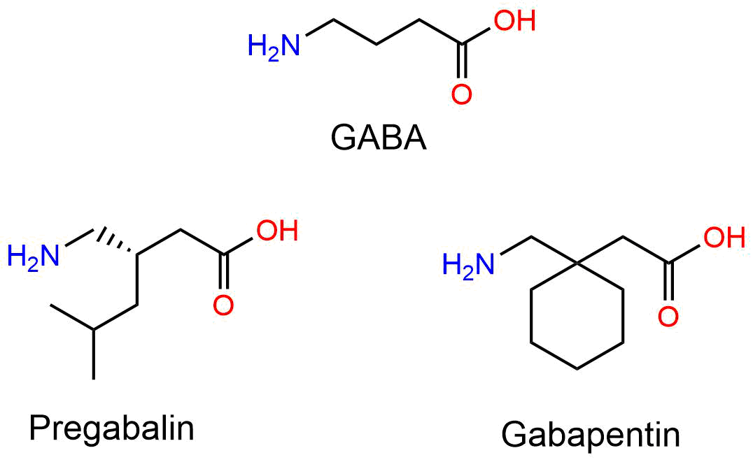 Gabapentin Structure