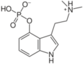 180px-200px-Psilocybn.svg.png