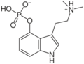 200px-Psilocybn.svg.png
