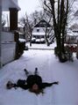 447px-Tripping in the snow.jpg