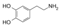 500px-Dopamine2.svg.png
