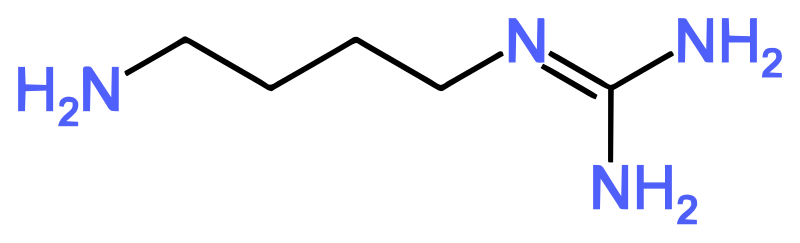 File:Agmatine (colored).svg