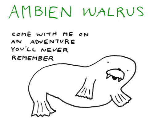 Ambien-walrus-adventure.gif