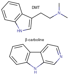 Ayahuasca.svg