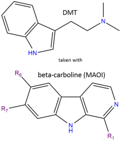 Ayahuasca12.png