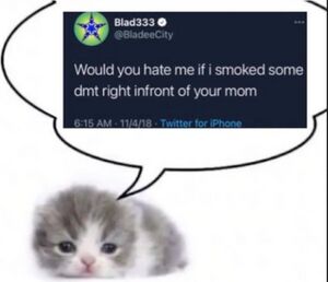 Bladeedmt.jpeg