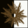 Brown spore print icon.png