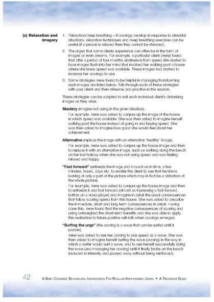 File:Cognitive Behavioural Intervention for Regular Amphetamine Users (Treatment Guide).pdf