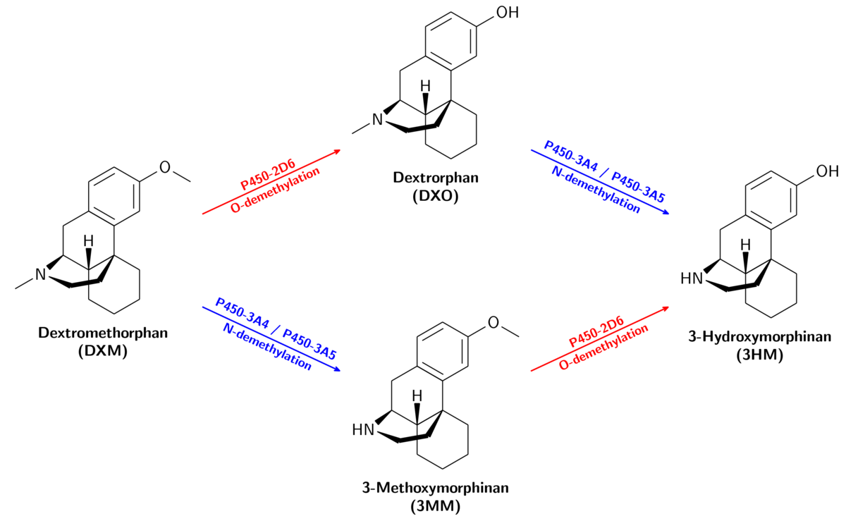 Dxm. Декстрометорфан метаболизм. Декстрометорфан + терпингидрат + [Левоментол]. ДХМ химия. ДХМ-плато.