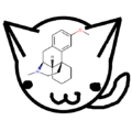 Thumbnail for version as of 03:31, 25 August 2025