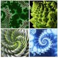 Fractals.jpg