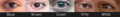 Thumbnail for version as of 05:16, 25 August 2025