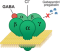 Gabapentinoids.png