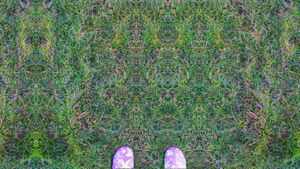 Grass by Chelsea Morgan.jpg