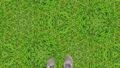 Grass on 2cb by inifinity.jpg