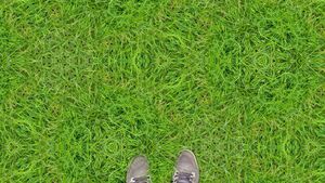 Grass on 2cb by inifinity.jpg