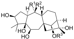 Grayanotoxins.svg