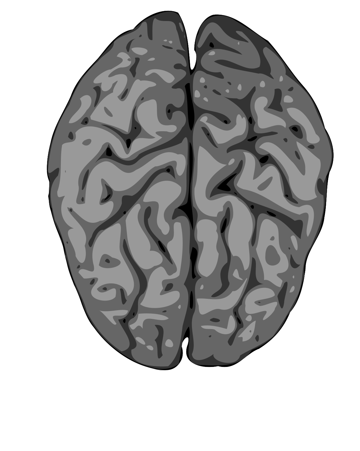 Мозговой серый. Мозг рисунок. Серый мозг. Мозг на прозрачном фоне.