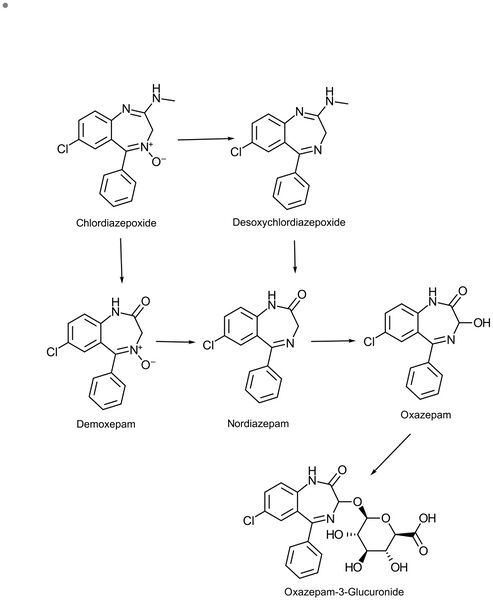 Librium Metabolism Very Interesting.jpg