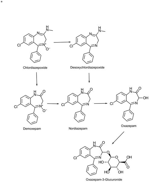 Librium Metabolism Very Interesting.jpg