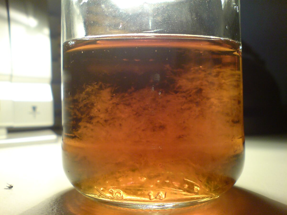 Liquid culture PsychonautWiki