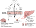 Thumbnail for version as of 08:41, 14 June 2023