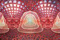 Net Of Being by Alex Grey.jpg