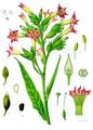 Thumbnail for version as of 23:06, 7 November 2015
