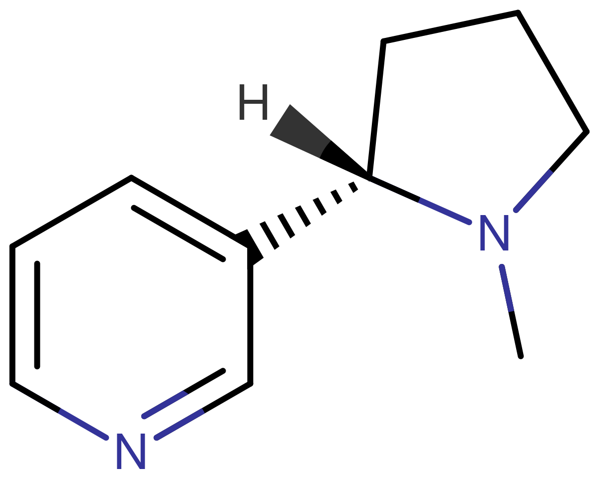 Nicotine - Wikipedia