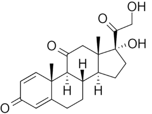 Prednisone 2D.PNG