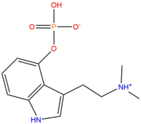 Psilocybin.png