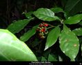 Thumbnail for version as of 13:10, 15 May 2017