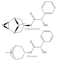 Scopolomineatropine.png