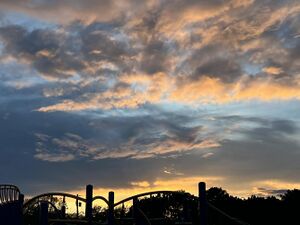 Sunset.jpg