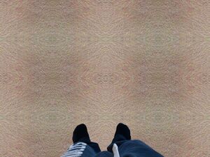 Symmetrical carpet repetition by Xanny.jpeg