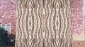 Symmetry on treebark.jpg