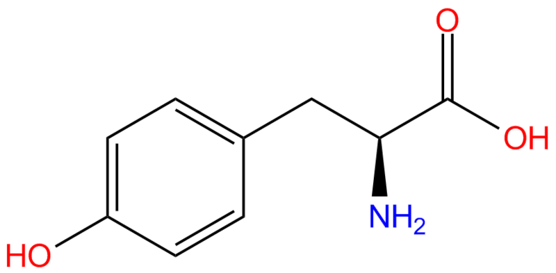 File:Tyrosine.png