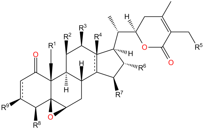 File:Withanolide.png